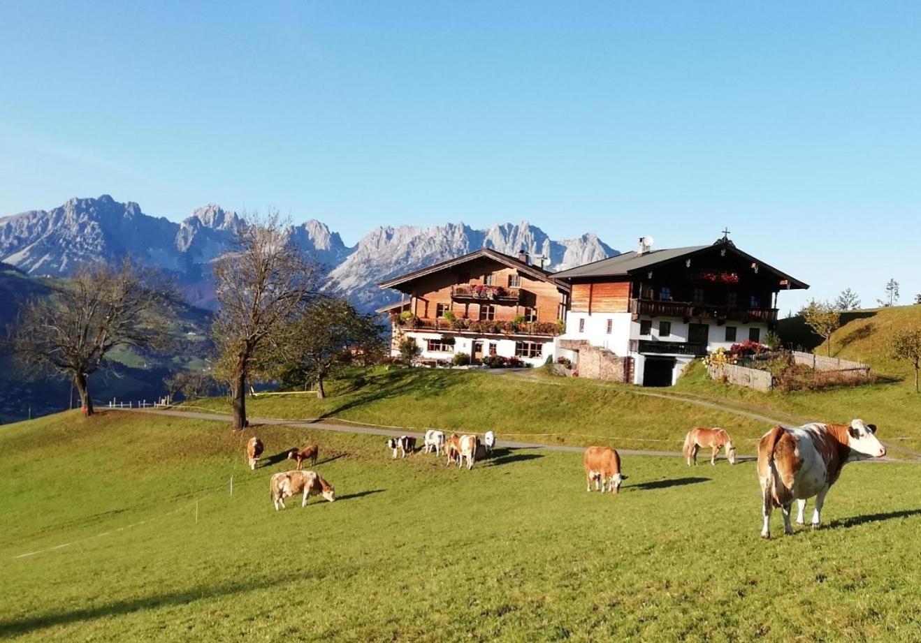 基茨比厄尔Hahnenkammblick别墅 外观 照片