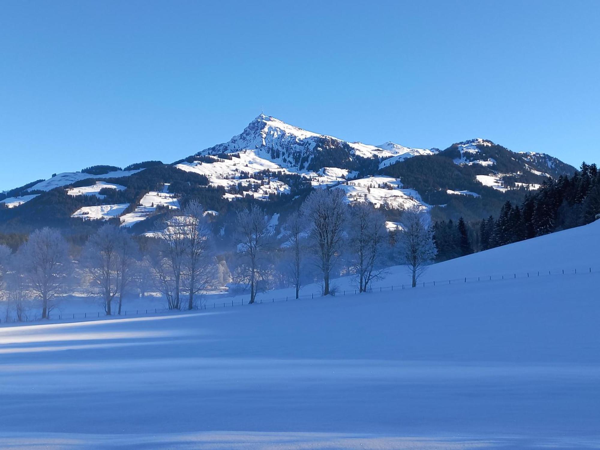 基茨比厄尔Hahnenkammblick别墅 外观 照片